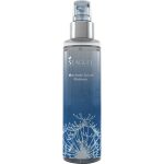 بادی اسپلش   PLATINUM آقایان  سی گل  حجم  200 میلی لیتر _ SEAGULL